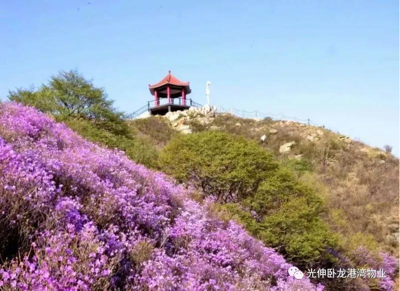 2121非凡·(中国区)体育官方网站